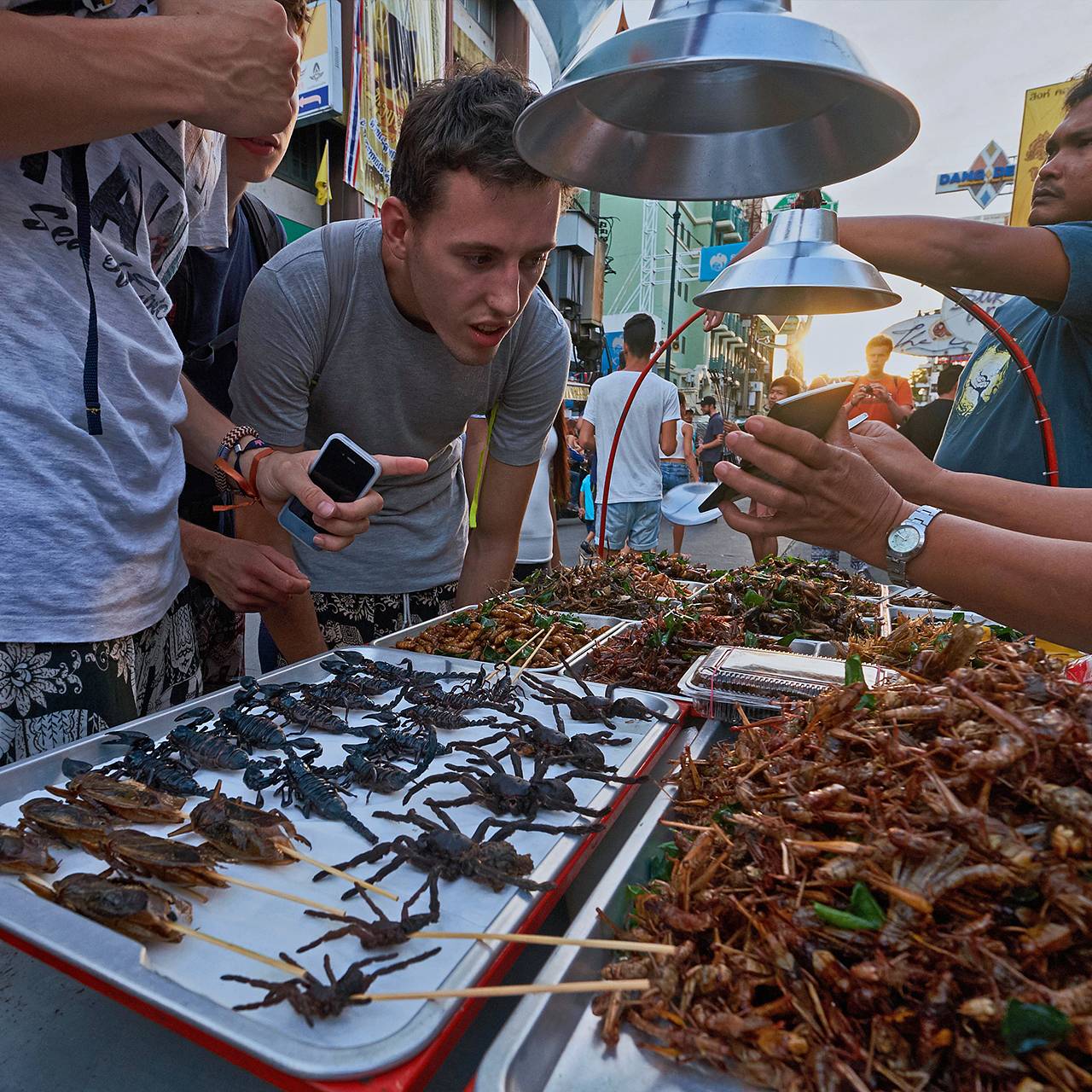 Человечеству придется отказаться от мяса. Чем его заменят и кому выгодно  отучить людей от говядины и свинины?: Бизнес: Экономика: Lenta.ru