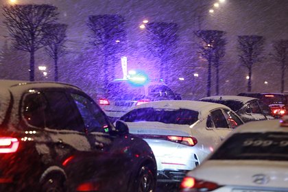 Жителей Москвы предупредили о сильном ветре, дожде и снегопаде