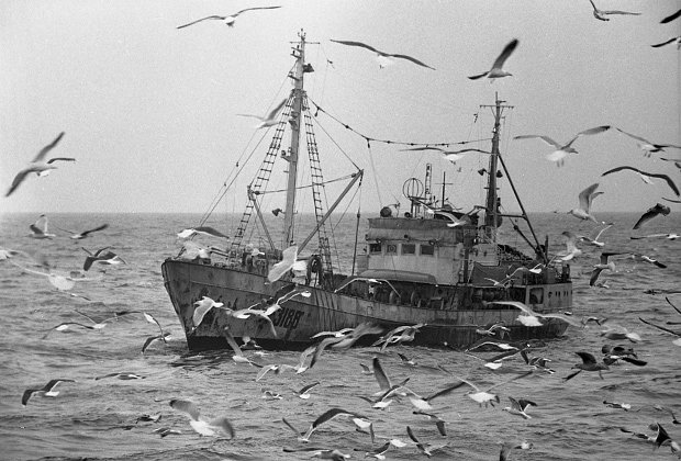 Рыболовецкий сейнер на промысле в Баренцевом море