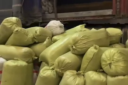 Четыре тонны насвая в прибывшем из Казахстана в Россию грузовике попали на видео