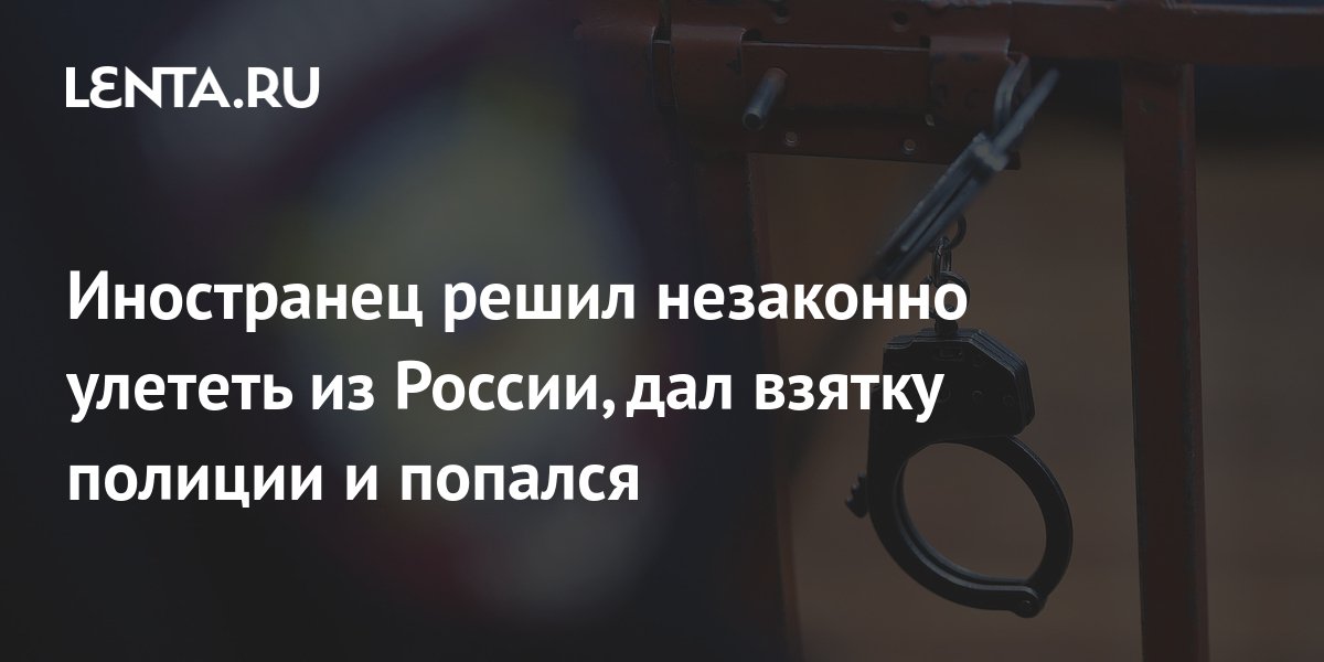 Иностранец решил незаконно улететь из России, дал взятку полиции и попался: Происшествия: Путешествия: Lenta.ru