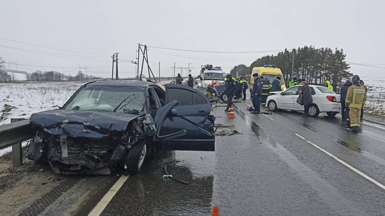 Появились подробности аварии с пятью погибшими на трассе в Подмосковье:  Происшествия: Россия: Lenta.ru