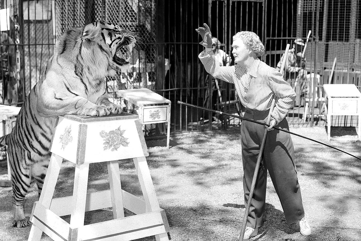 Мэйбл Старк в цирке Jungleland, 12 апреля 1950 года