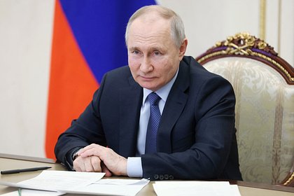 Депутат Госдумы дал советы по выращиванию репы после выступления Путина