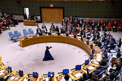 Названа дата голосования по резолюции о «Северных потоках» в СБ ООН