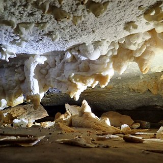 Пещерняк Секс видео бесплатно
