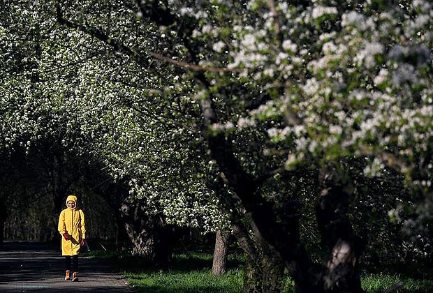 Весеннее обострение. Созидательное русло - основные причины и способы преодоления