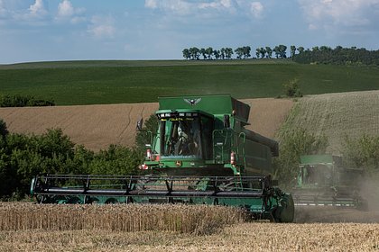 Польша призвала Евросоюз ограничить импорт украинского зерна
