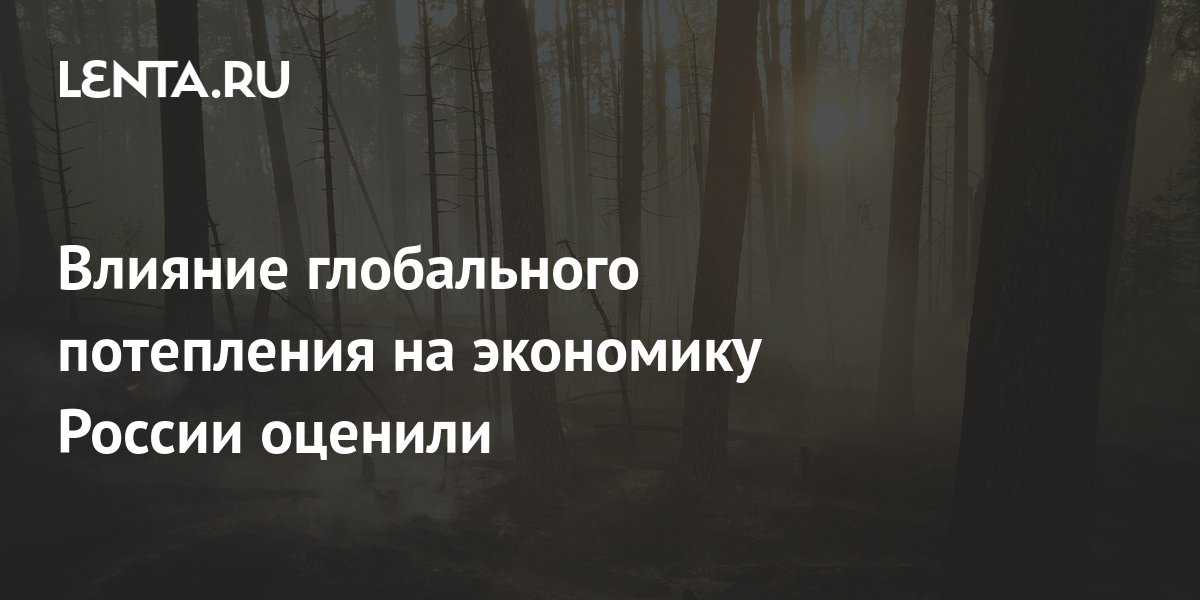 Глобальное потепление схема. Климатические изменения причины. Влияние глобального потепления на хозяйственную деятельность. Решение проблемы глобального потепления. Актуальность проекта глобальное потепление.