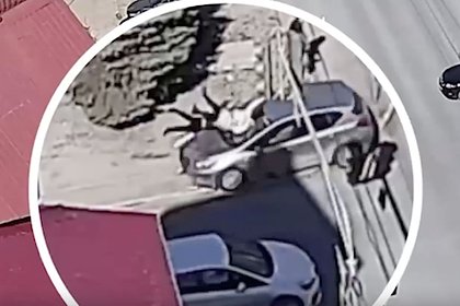 В российском городе водитель после ДТП сбил мать с ребенком и попал на видео