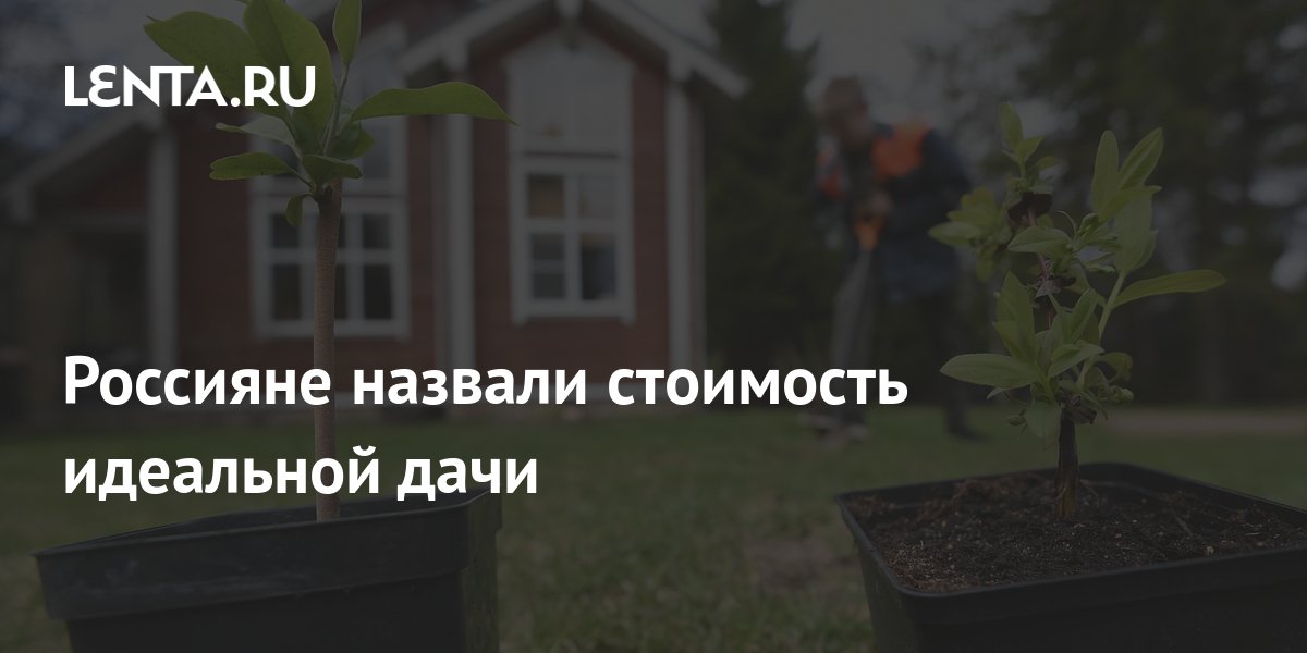 Идеальная Цена Дзержинск Вк