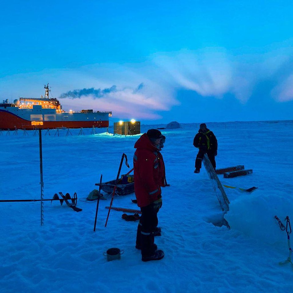арктическая станция раст фото 92
