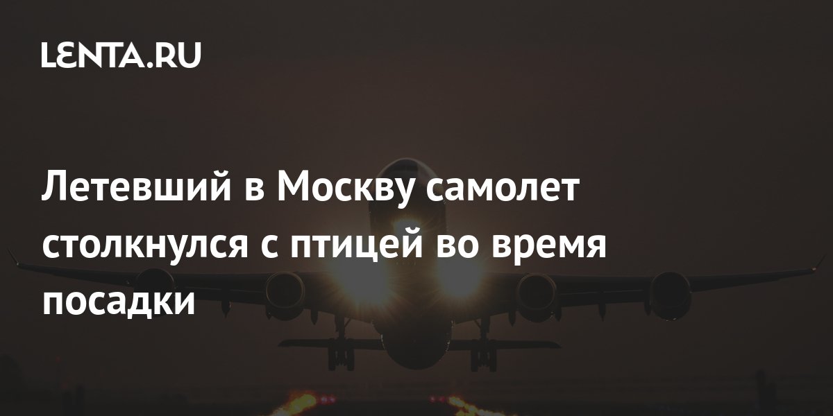 Летевший в Москву самолет столкнулся с птицей во время посадки ...
