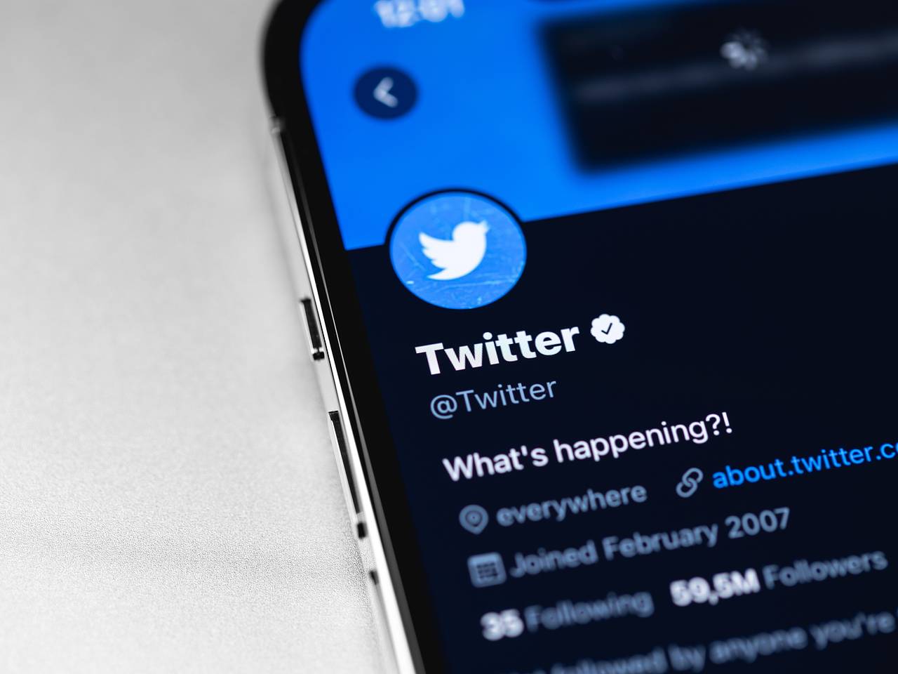 Twitter вернул логотип с голубой птицей: Coцсети: Интернет и СМИ: Lenta.ru