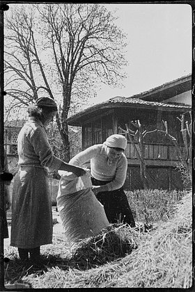 Местные жительницы набивают сеном матрасы для прибывающих раненых. Крым. 21 апреля 1944 года. Фото: Валерий Фаминский / Частная коллекция Артура Бондаря