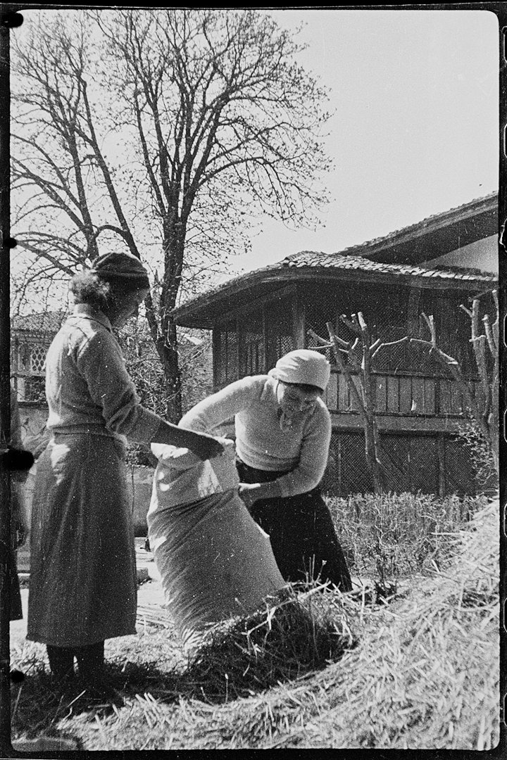 Местные жительницы набивают сеном матрасы для прибывающих раненых. Крым. 21 апреля 1944 года