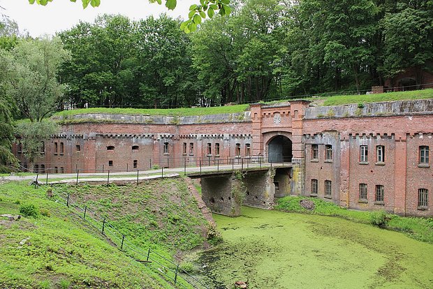 Вводная картинка