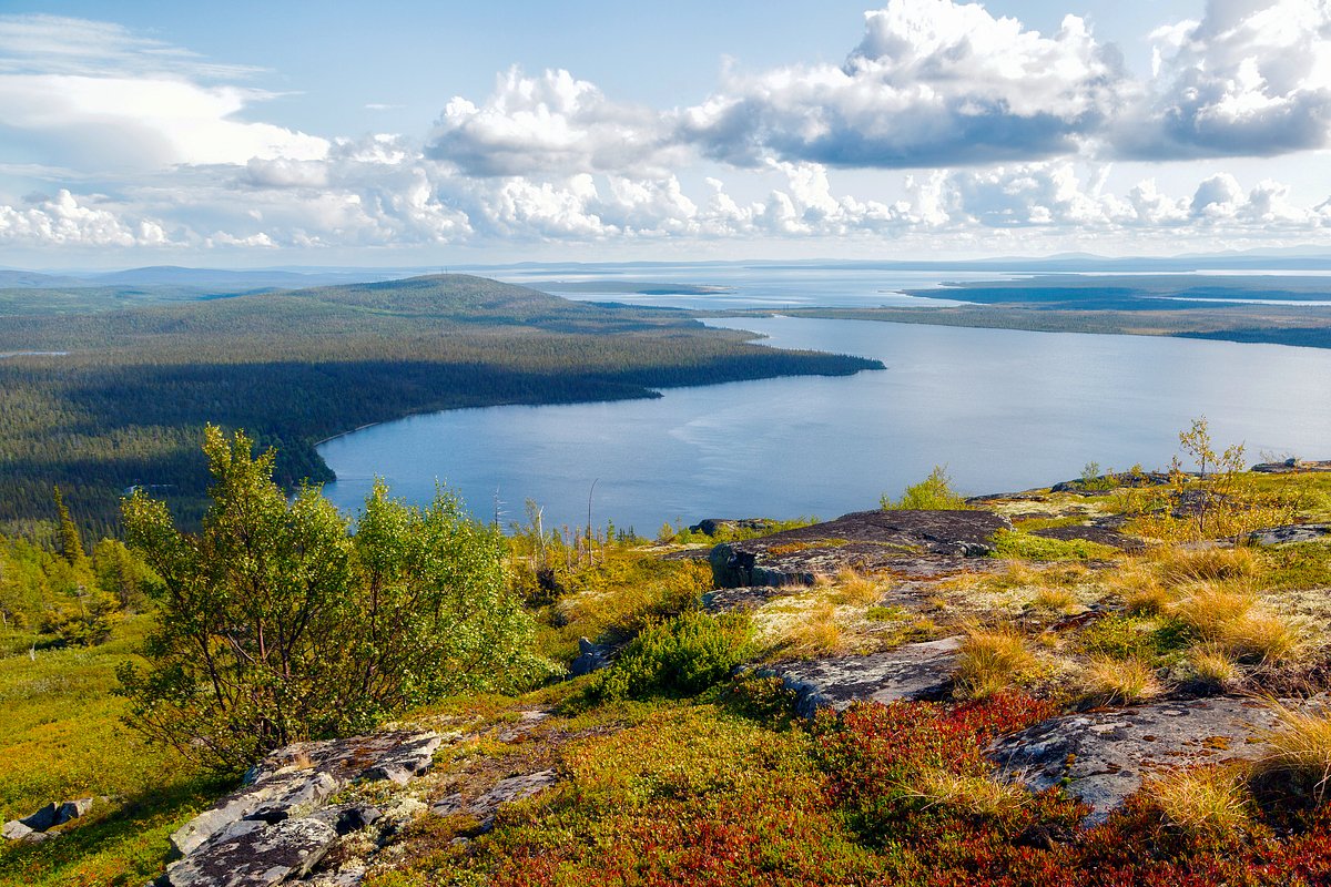 Лапландский заповедник осенью. Кольский полуостров