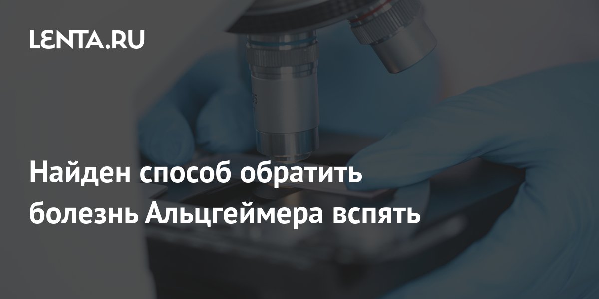 lenta.ru
