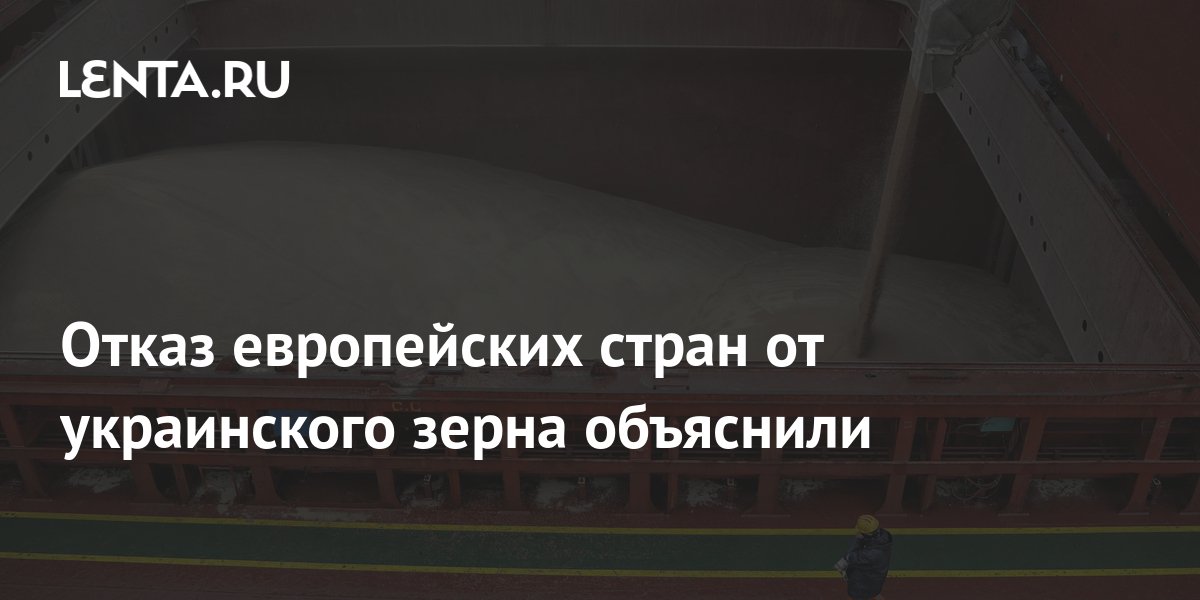 Отказ европейских стран от украинского зерна объяснили: Политика: Мир ...