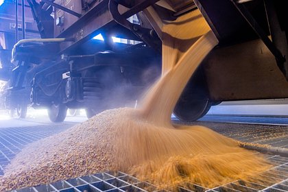 На Украине сообщили о проблемах с экспортом зерна