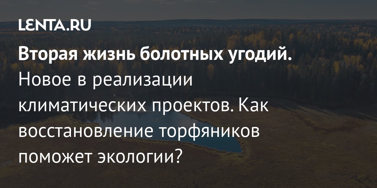 Назван срок реализации климатических проектов в России: Климат: Среда обитания: