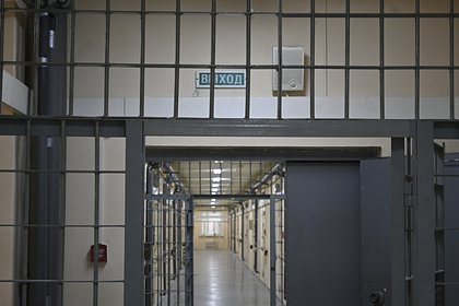 Россиянина осудили на 12,5 года за интимную переписку с 242 подростками