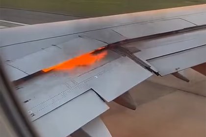 Крыло самолета загорелось из-за столкновения с птицами и попало на видео