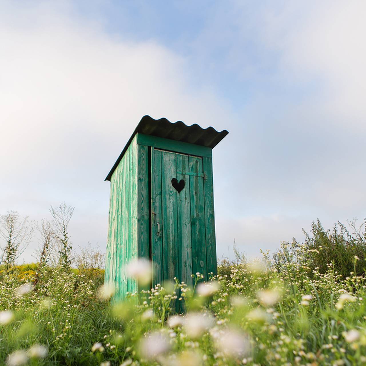 Дачный туалет деревянный купить в СПб недорого фото и цены