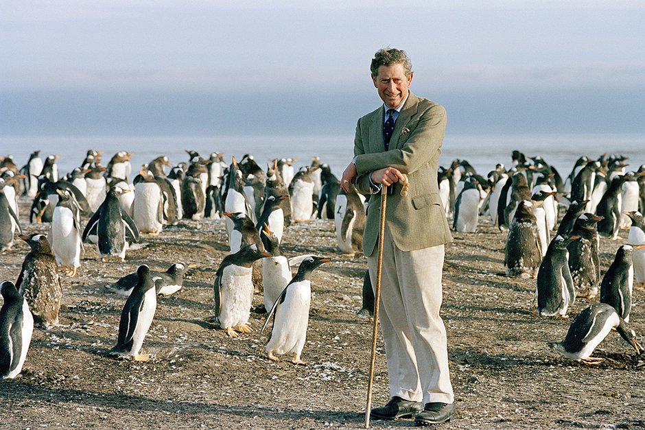 Принц Уэльский Чарльз наблюдает за пингвинами во время своего визита на остров Морского льва — один из самых южных островов Фолклендского архипелага, 14 марта 1999 года