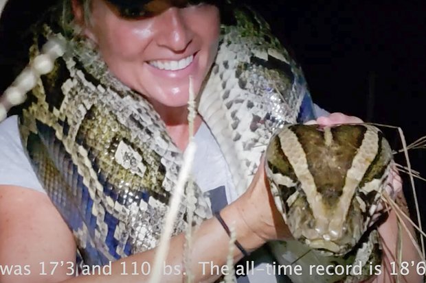 Эми Сьюи. Кадр: Python Huntress Amy Siewe / YouTube