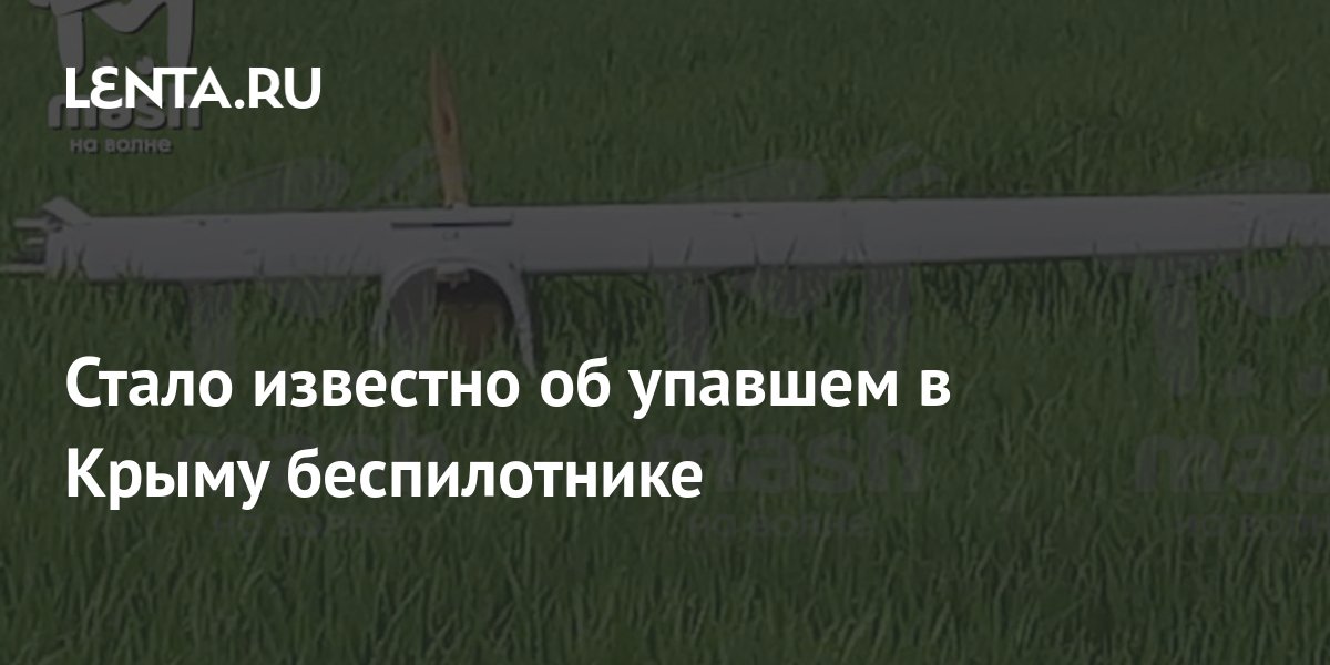 Стало известно об упавшем в Крыму беспилотнике: Происшествия: Россия ...