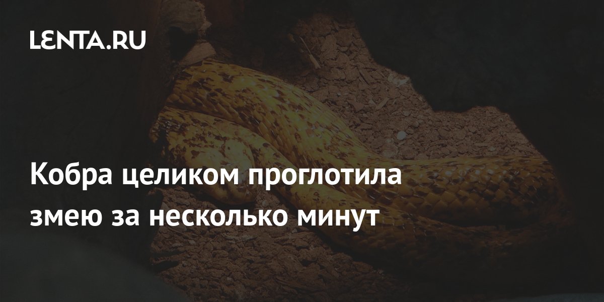 Съела целиком. Сон с шашлыками. Укусы на ногах от крокодила.