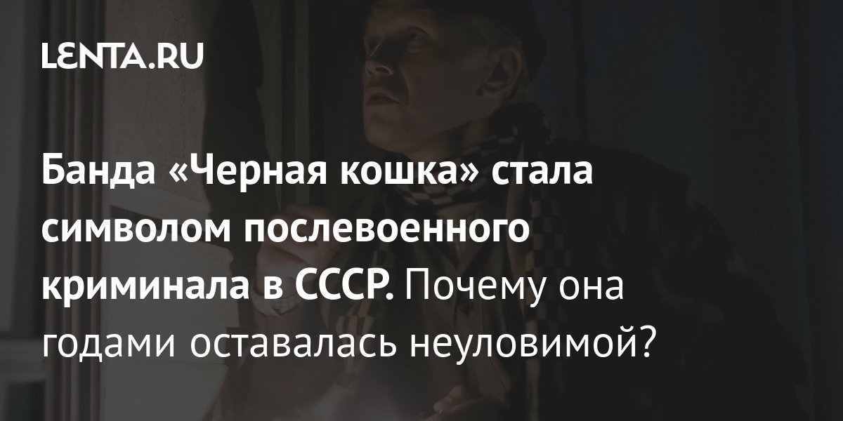 Черная кошка банда
101