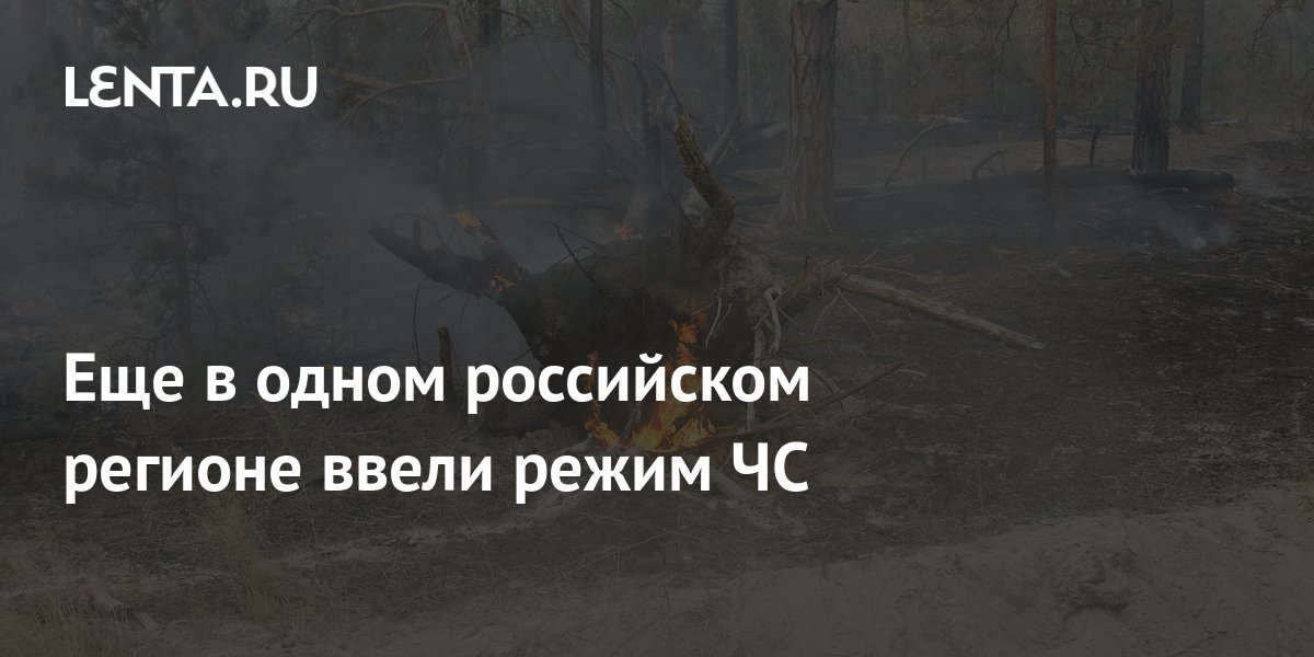 Еще в одном российском регионе ввели режим ЧС: Общество: Россия: Lenta.ru