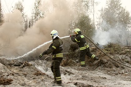 Три человека погибли при пожарах в российском регионе за один день