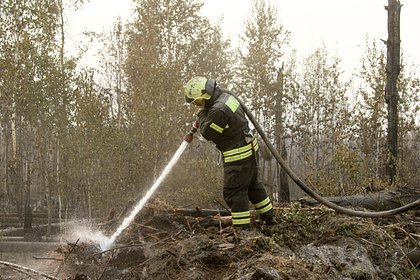 Пожары уничтожили 42 дома в российском регионе