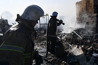Путину доложили о мерах по борьбе с пожарами в Курганской области
