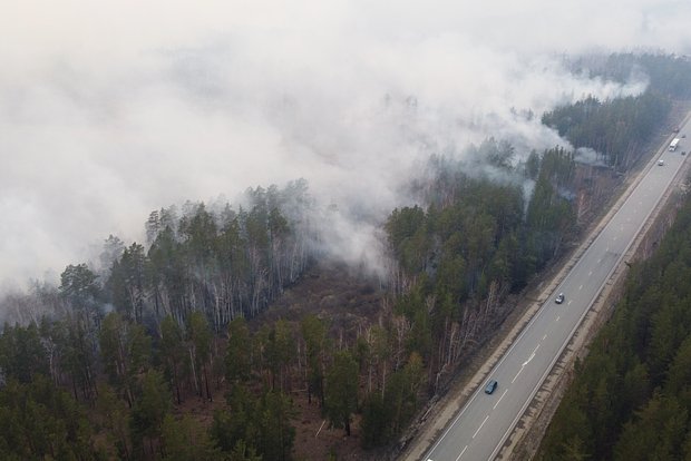 Вводная картинка