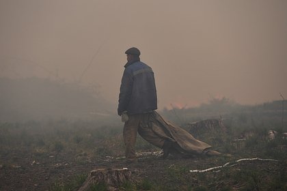 В Тюменской области признали сложной обстановку с пожарами в регионе