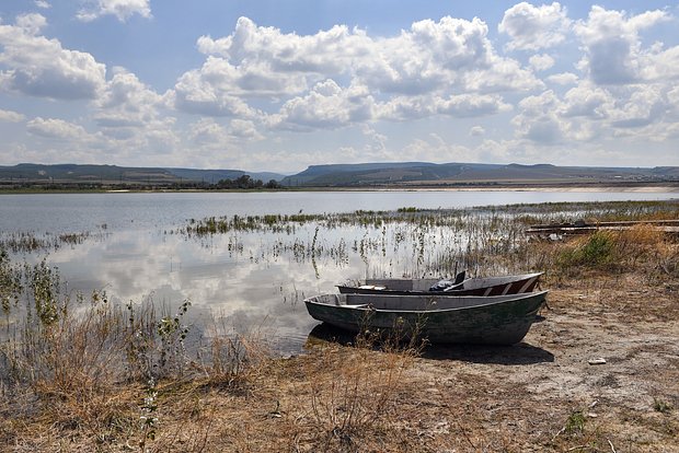 Вводная картинка