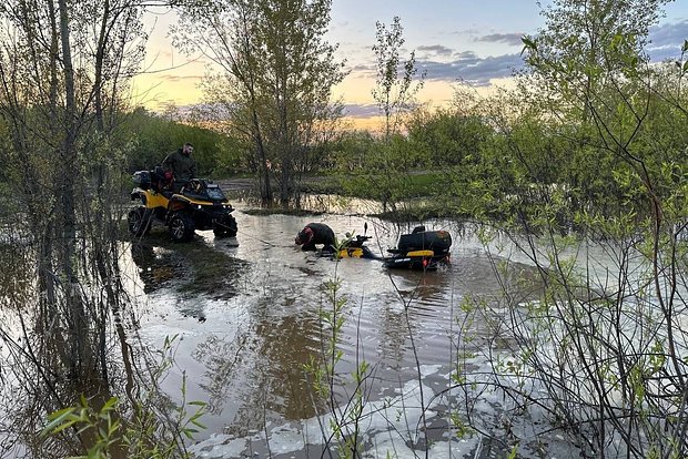 Вводная картинка