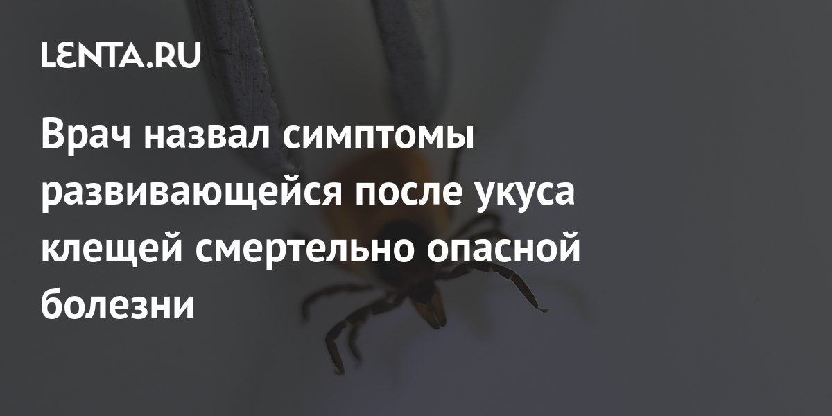 Врач назвал симптомы развивающейся после укуса клещей смертельно ...