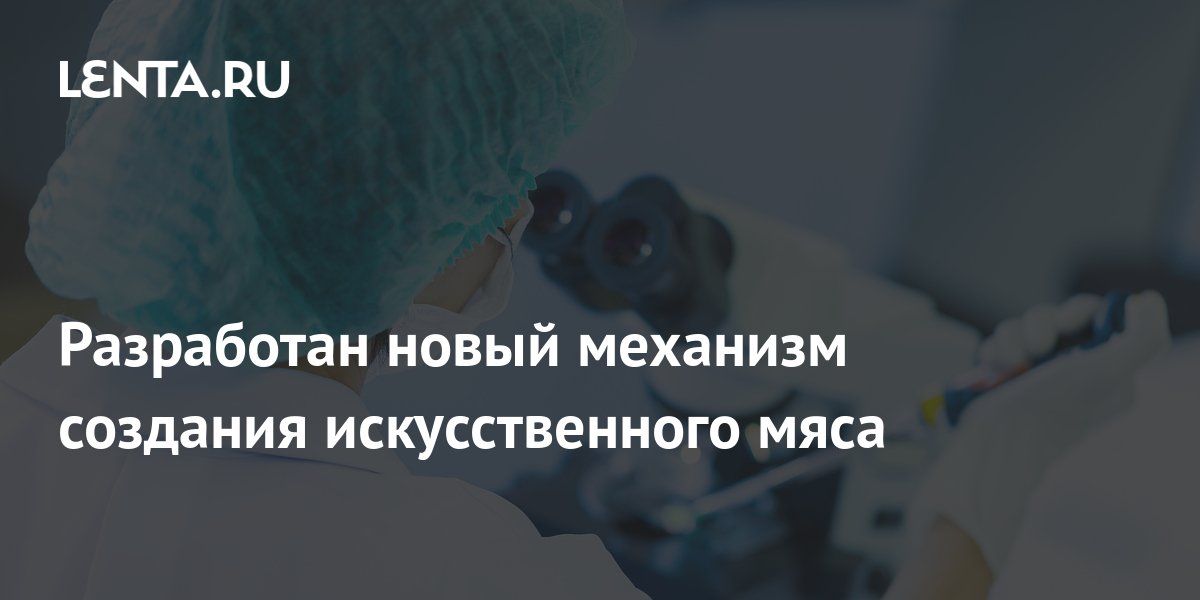 Разработан новый механизм создания искусственного мяса: Наука: Наука и ...