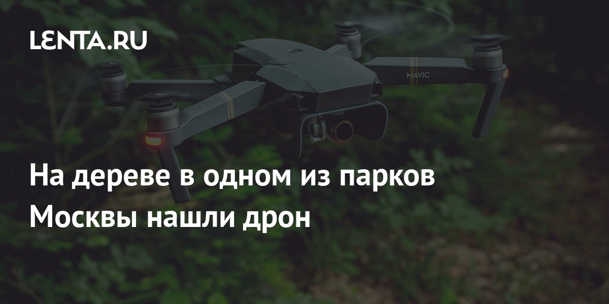 Правоохранительные органы ищут хозяина дрона, застрявшего на дереве в парке в Москве