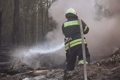 В российском регионе ввели режим ЧС из-за лесных пожаров