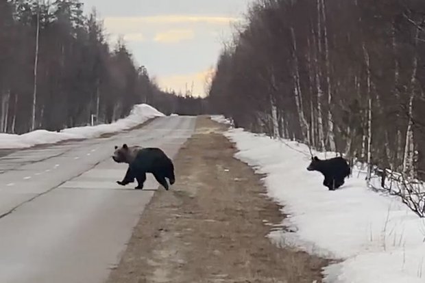 Вводная картинка