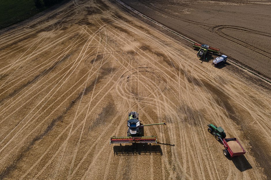 Комбайны на пшеничном поле в Тернопольской области, 4 августа 2022 года