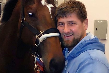 Любимый конь Кадырова отдохнул в Ростове и отправился в Грозный