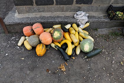 Стало известно о рекордном подорожании овощей и фруктов на Украине